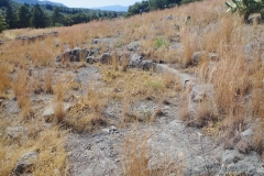 Area around the tholos in the sanctuary of Athena Oxyderces.