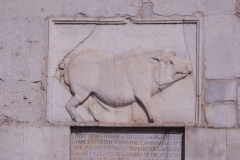 Boar relief on the east facade of the Cattedrale Metropolitana di Santa Maria de Episcopio bell tower.