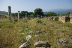 Cardo maximus looking toward the south gate.