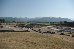 Southern area of the forum.