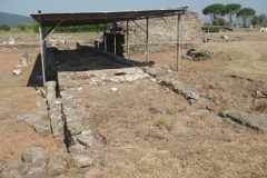 Dolia defossa between the Domus degli Affreschi and temple.