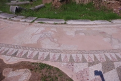 Mosaic from around the original temple dedicated to Aphrodite on the site of the Theater Basilica.