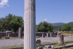 Column of Damophon.