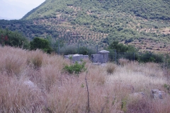 Altar from the temple of Artemis Limnatis.