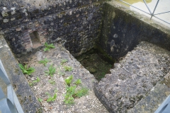 Basin south of the temple, along the portico wall.